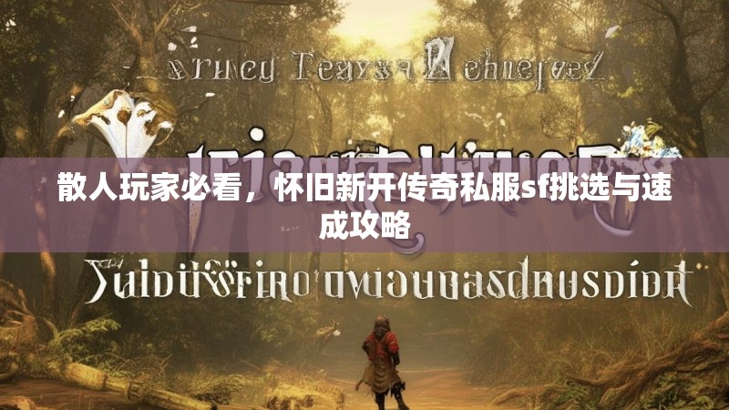 散人玩家必看，怀旧新开传奇私服sf挑选与速成攻略