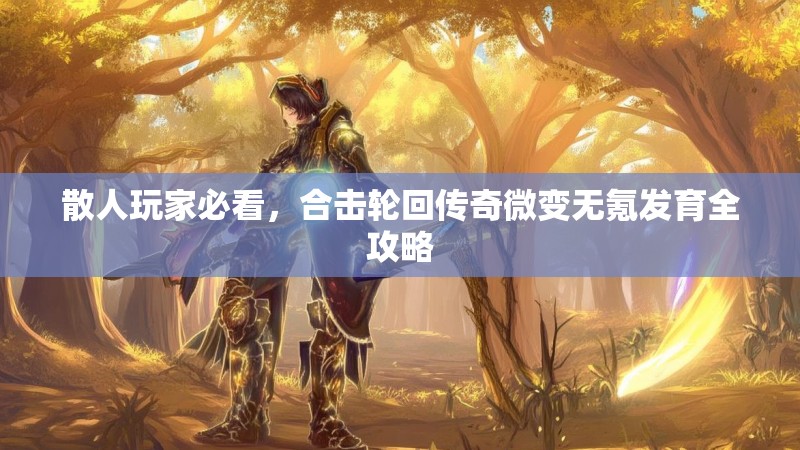 散人玩家必看，合击轮回传奇微变无氪发育全攻略