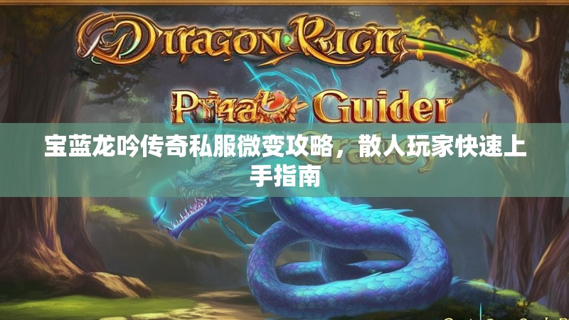宝蓝龙吟传奇私服微变攻略，散人玩家快速上手指南