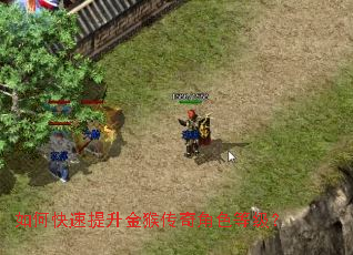 如何快速提升金猴传奇角色等级？