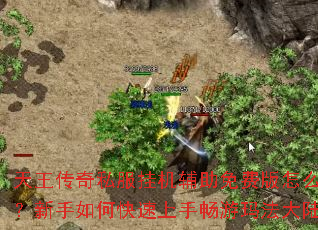 天王传奇私服挂机辅助免费版怎么用？新手如何快速上手畅游玛法大陆？