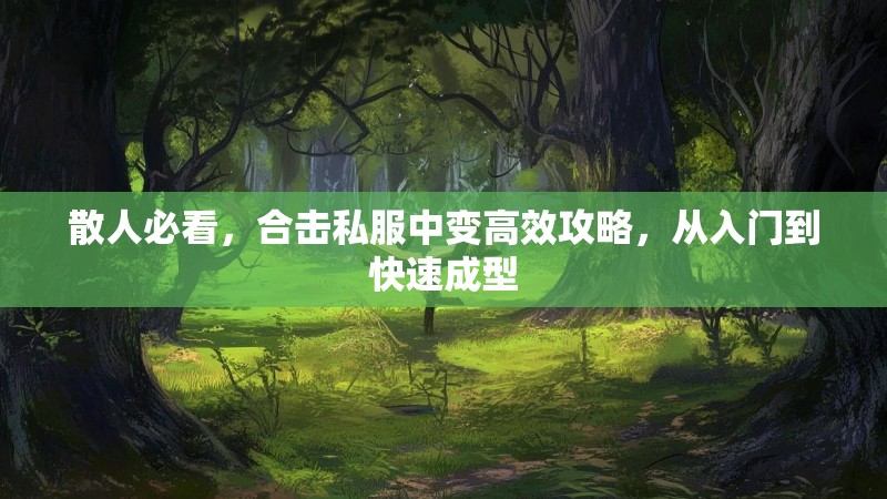 散人必看，合击私服中变高效攻略，从入门到快速成型