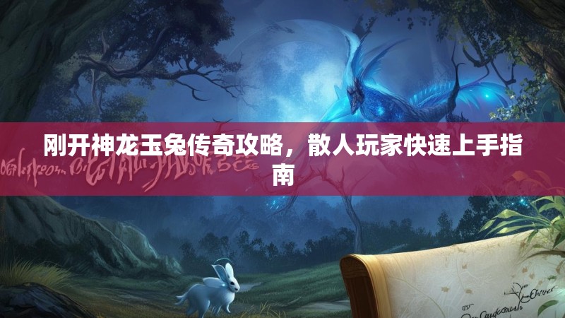 刚开神龙玉兔传奇攻略，散人玩家快速上手指南