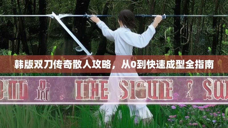 韩版双刀传奇散人攻略，从0到快速成型全指南