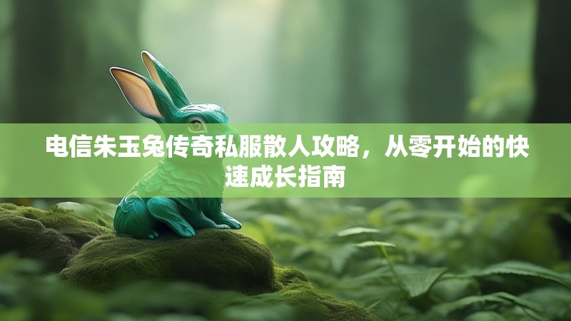 电信朱玉兔传奇私服散人攻略，从零开始的快速成长指南