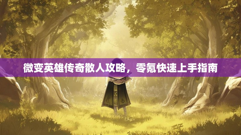 微变英雄传奇散人攻略，零氪快速上手指南