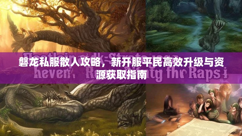 磐龙私服散人攻略，新开服平民高效升级与资源获取指南