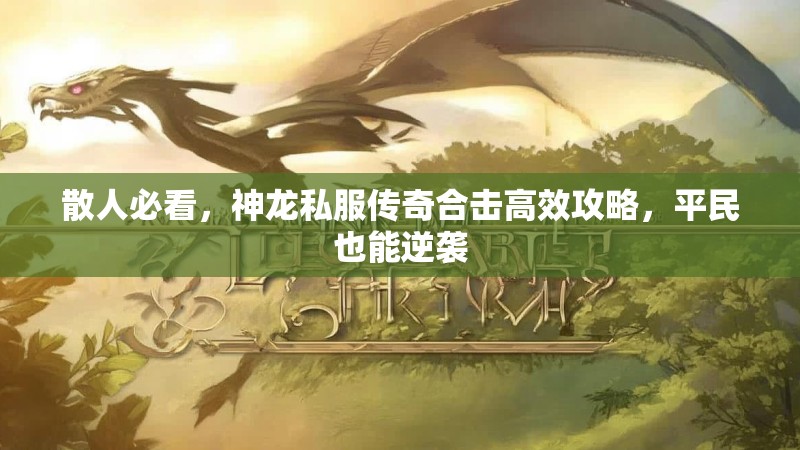 散人必看，神龙私服传奇合击高效攻略，平民也能逆袭