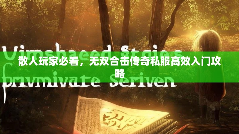 散人玩家必看，无双合击传奇私服高效入门攻略