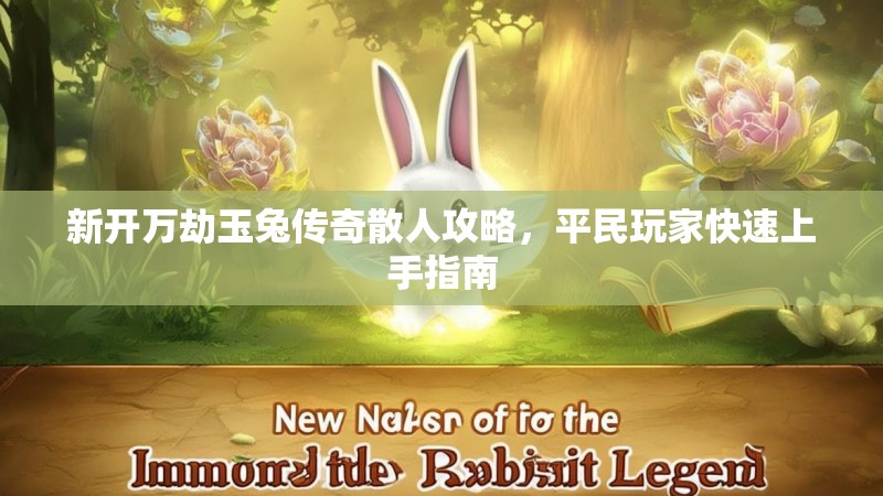 新开万劫玉兔传奇散人攻略，平民玩家快速上手指南