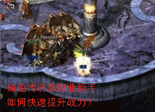 仙逆传说单职业新手如何快速提升战力？