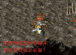 如何快速提升等级并高效获取极品装备？