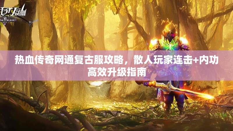 热血传奇网通复古服攻略，散人玩家连击+内功高效升级指南