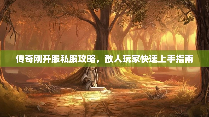 传奇刚开服私服攻略，散人玩家快速上手指南