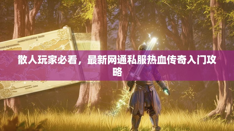散人玩家必看，最新网通私服热血传奇入门攻略