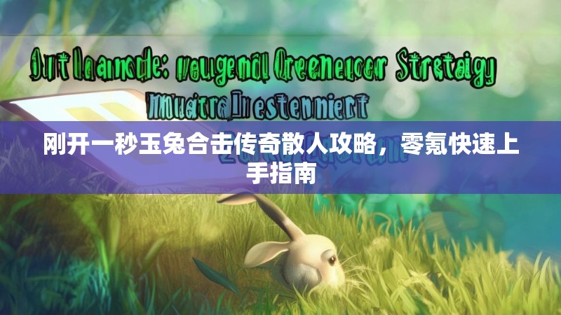 刚开一秒玉兔合击传奇散人攻略，零氪快速上手指南