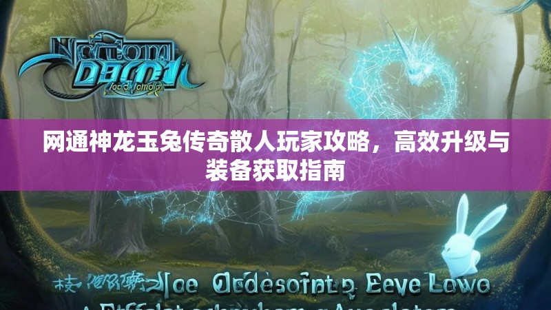 网通神龙玉兔传奇散人玩家攻略，高效升级与装备获取指南