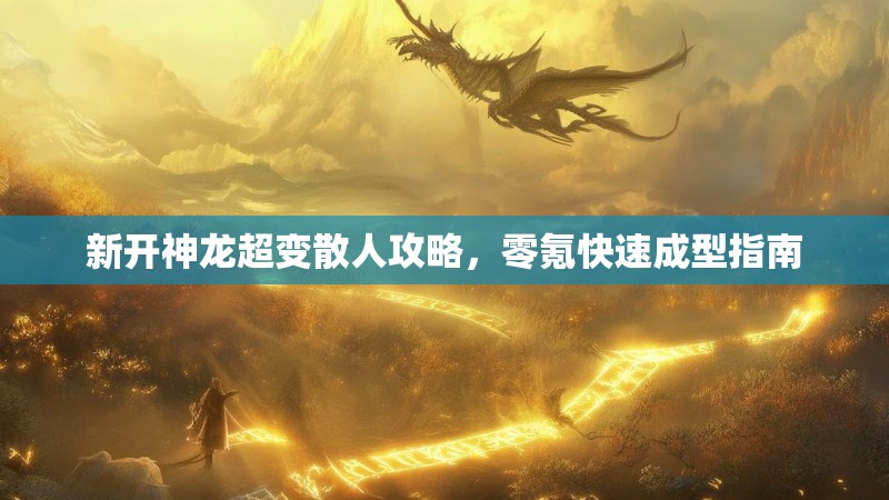 新开神龙超变散人攻略，零氪快速成型指南