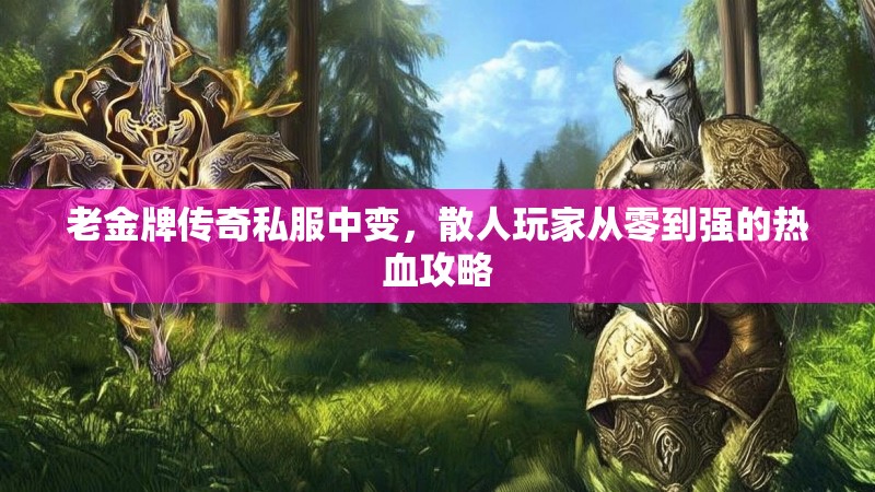 老金牌传奇私服中变，散人玩家从零到强的热血攻略