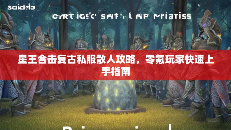 星王合击复古私服散人攻略，零氪玩家快速上手指南