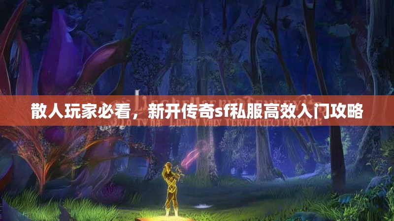 散人玩家必看，新开传奇sf私服高效入门攻略