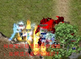 神奇宝贝精灵球传奇攻略：如何成为最强训练师？