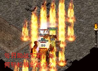每日助战宝宝，如何轻松搞定战斗？