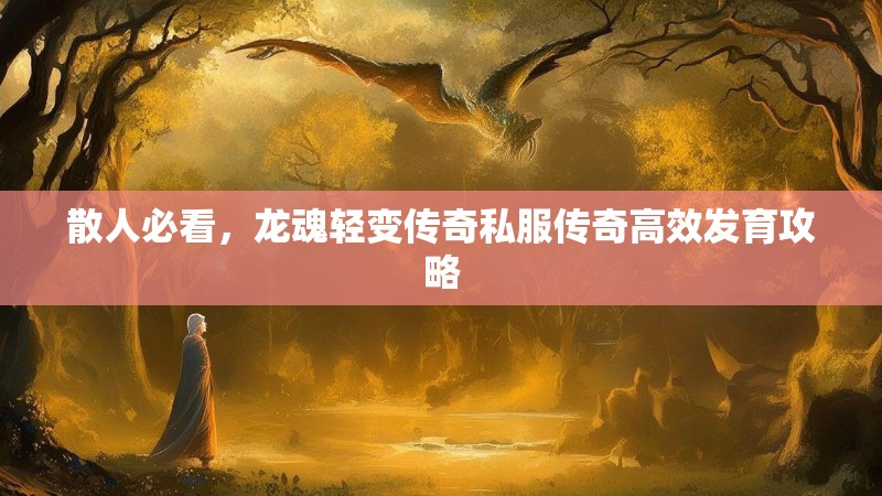 散人必看，龙魂轻变传奇私服传奇高效发育攻略