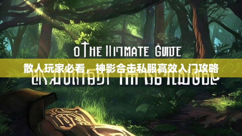 散人玩家必看，神影合击私服高效入门攻略
