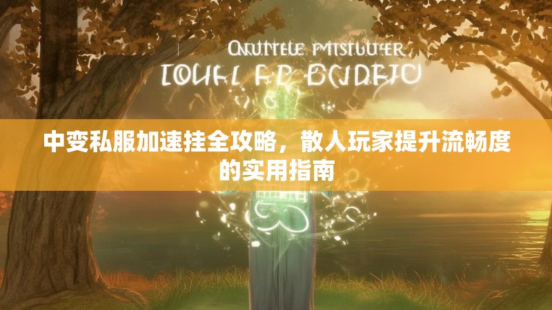 中变私服加速挂全攻略，散人玩家提升流畅度的实用指南