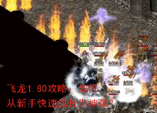 飞龙1.80攻略：如何从新手快速成长为神豪？