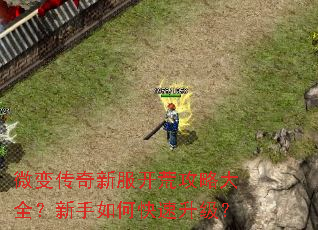 微变传奇新服开荒攻略大全？新手如何快速升级？