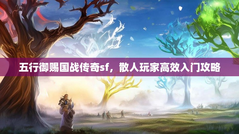 五行御赐国战传奇sf，散人玩家高效入门攻略
