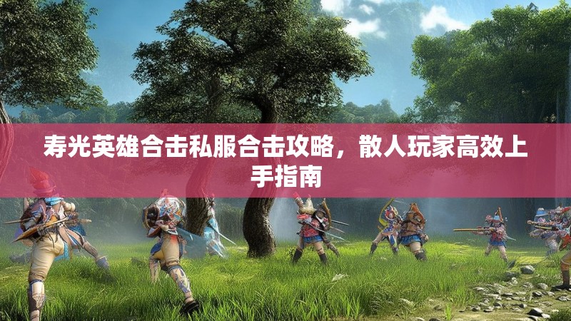 寿光英雄合击私服合击攻略，散人玩家高效上手指南