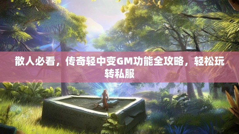 散人必看，传奇轻中变GM功能全攻略，轻松玩转私服