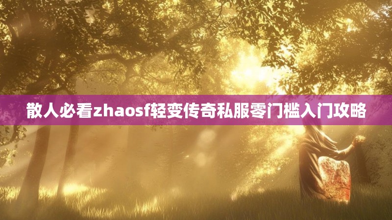散人必看zhaosf轻变传奇私服零门槛入门攻略