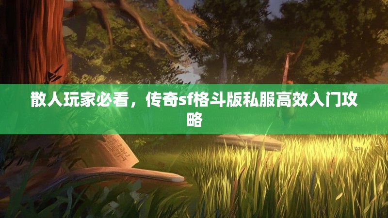 散人玩家必看，传奇sf格斗版私服高效入门攻略