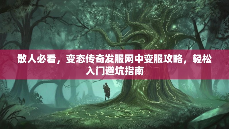 散人必看，变态传奇发服网中变服攻略，轻松入门避坑指南