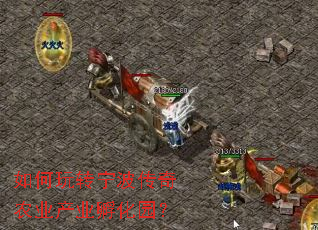 如何玩转宁波传奇农业产业孵化园？