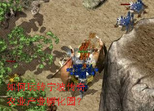 如何玩转宁波传奇农业产业孵化园？