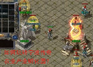 如何玩转宁波传奇农业产业孵化园？