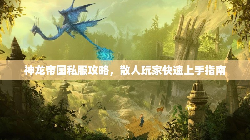 神龙帝国私服攻略，散人玩家快速上手指南