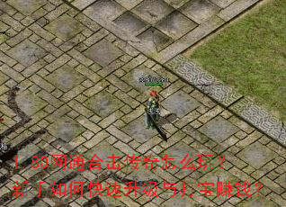1.80网通合击传奇怎么玩？新手如何快速升级与打宝赚钱？