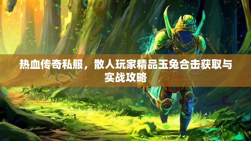 热血传奇私服，散人玩家精品玉兔合击获取与实战攻略