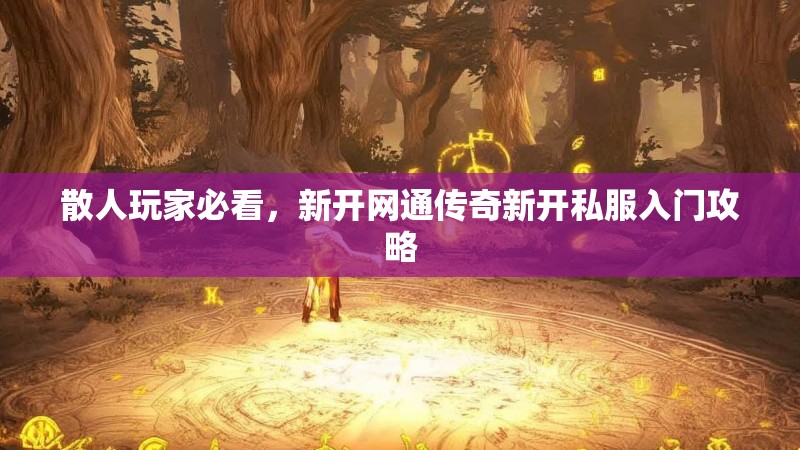 散人玩家必看，新开网通传奇新开私服入门攻略