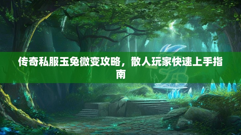 传奇私服玉兔微变攻略，散人玩家快速上手指南