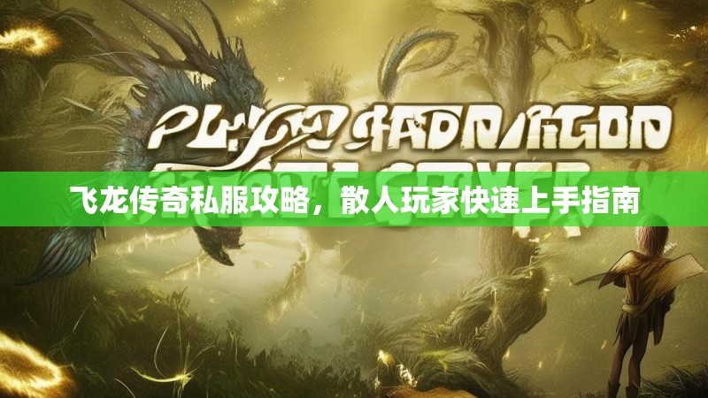 飞龙传奇私服攻略，散人玩家快速上手指南