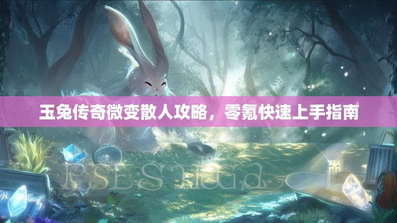 玉兔传奇微变散人攻略，零氪快速上手指南