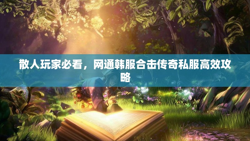 散人玩家必看，网通韩服合击传奇私服高效攻略