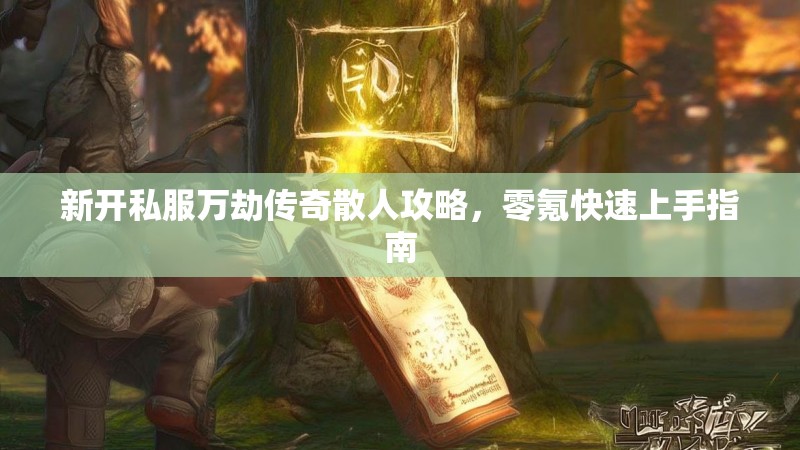 新开私服万劫传奇散人攻略，零氪快速上手指南